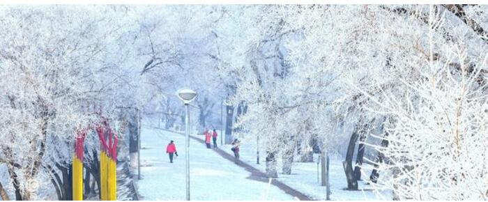 冬天去东北哈尔滨旅游穿什么？
