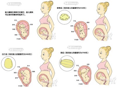 怀孕九个月胎儿图（b超图） - 孕期检查